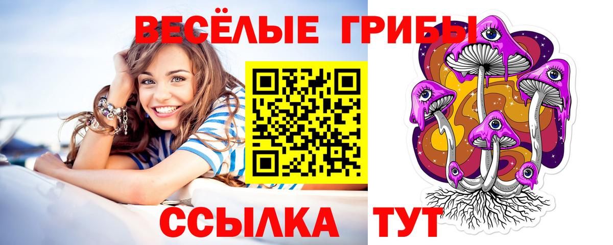 Псилоцибиновые грибы Psilocybe  где можно купить   Узловая  Вход с VPN  Галлюциногенные грибы Cubensis 